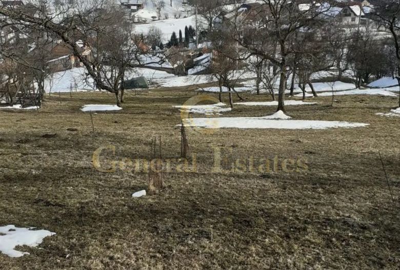 Teren Moieciu de Jos - Poză 5