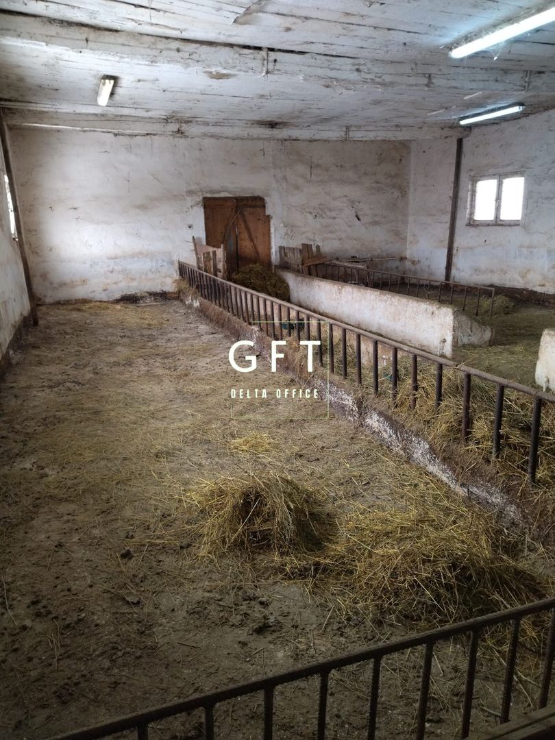 Hala de vanzare Bistrita Nasaud-3.9 km fata de Bistrita - Poză 6