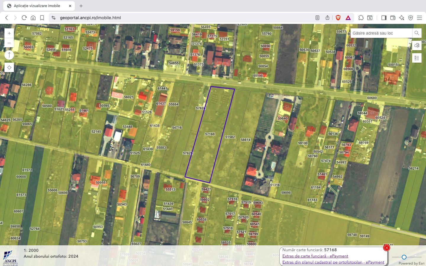 Teren intravilan construibil 7.500 mp Ciorogarla Ilfov - Poză 4