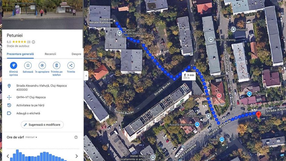 | Apartament cu 2 camere | Decomandat | Cartierul Grigorescu | Zona linistita | - Poză 13