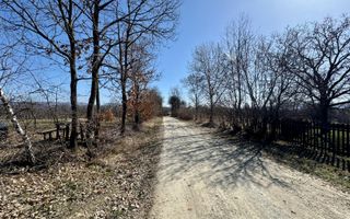 Teren intravilan | Berința | 5800 mp - Poză 4