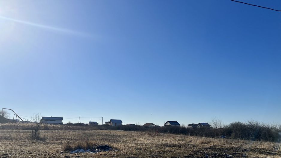 TEREN MOSNITA VECHE - Poză 3