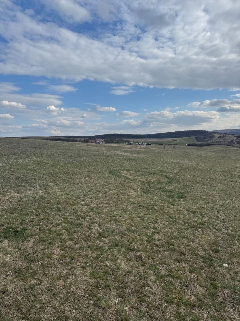 Teren intravilan in zona Tufele Rosii | Colonia Bundus | 2.990 mp - Poză 4