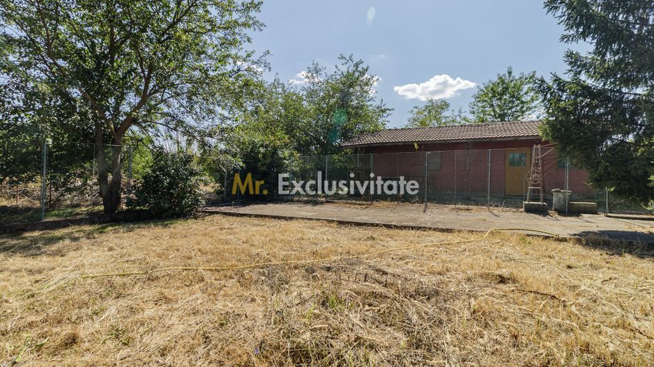 Domeniu privat 5.000 mp, cu reședință de 625 mp și piscină, Corbeanca - Poză 42