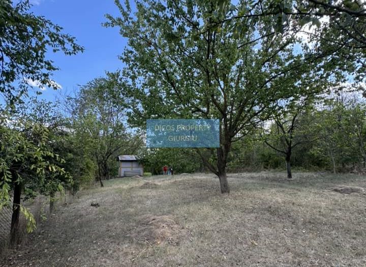 DE VANZARE Teren intravilan Comuna Daia,Jud Giurgiu - Poză 4