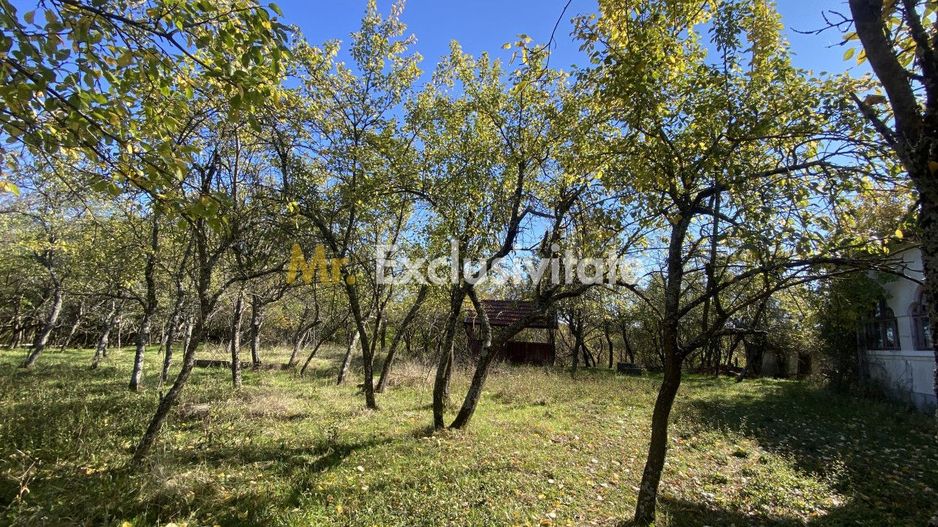 Casa+teren 2713 mp in loc. Babana, jud. Arges. Comision 0% - Poză 5