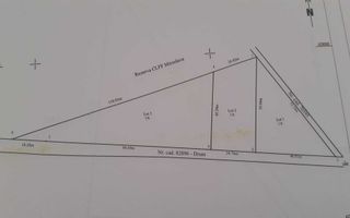 Teren extravilan de 5000 mp în Valea Ursului, vânzare - Poză 4
