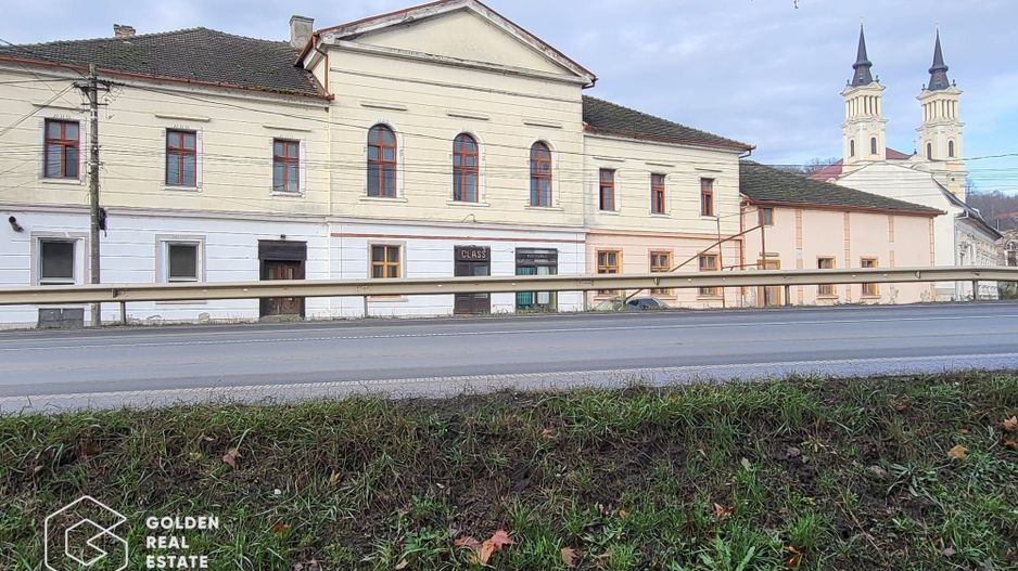 Proprietate tip conac, teren 4468 mp, oras Lipova - Poză 1