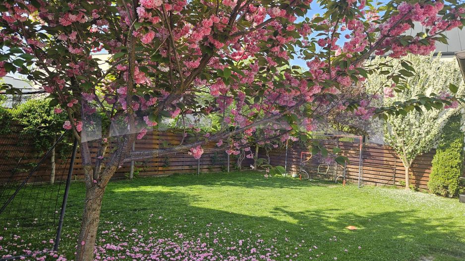 VANZARE 4 CAMERE | 550 MP TEREN | CORBEANCA - Poză 27