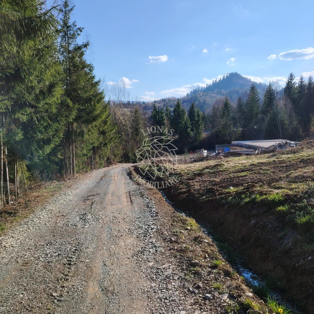 Teren intravilan cu utilitati 600 mp-ideal cabana-Colibita - Poză 1