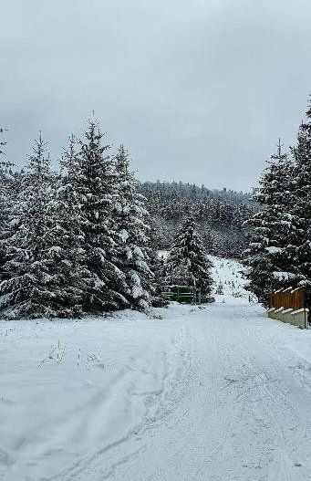 Cabană de vânzare-complet utilată, ideală pentru regim hotelier. - Poză 24