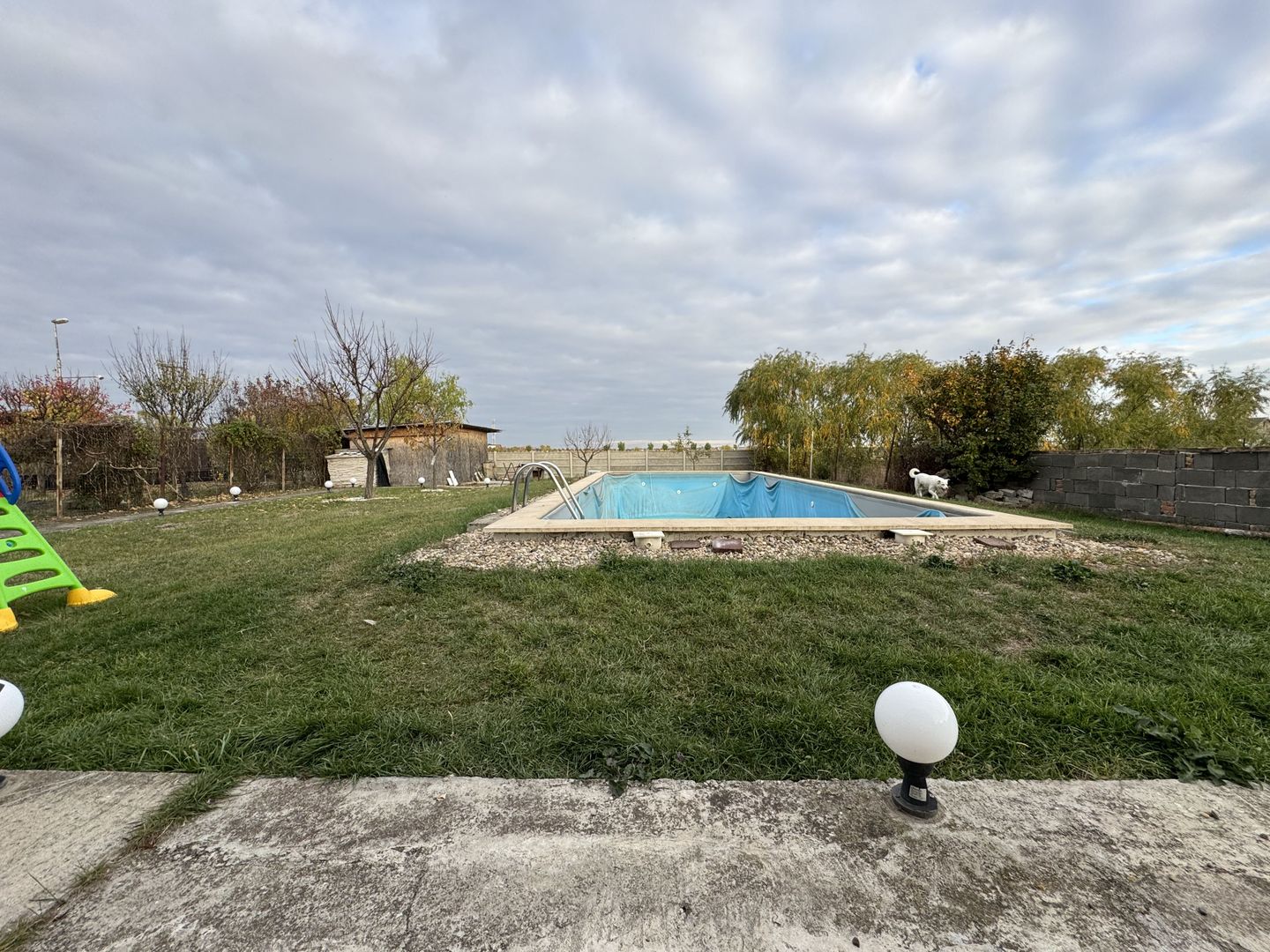 Individuala P+M Becicherecu Mic,4 Camere,Piscina exterioara,Teren Generos - Poză 9