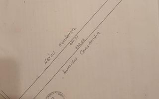 Teren de vanzare 12.700 mp Domnesti Curtea Domneasca - Poză 2