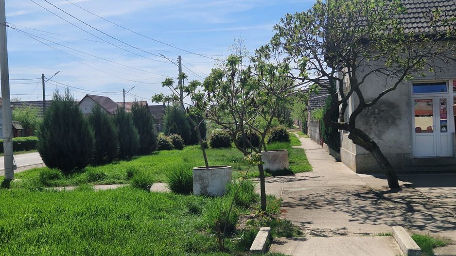 Spațiu comercial | DN69  | comuna Pesac | 50 km de Timișoara - Poză 4