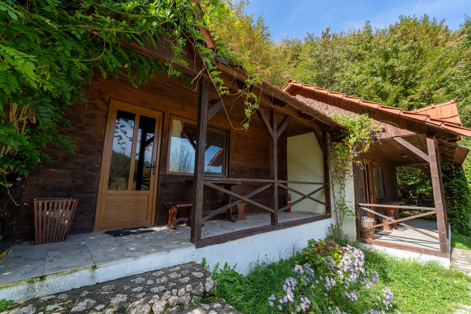 Domeniu în satul Căprioara - Poză 14