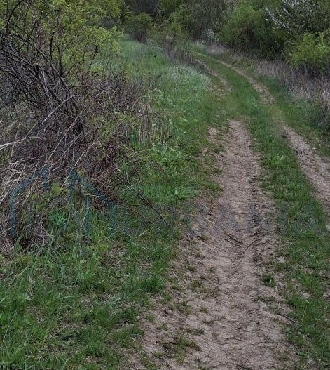 Teren extravilan de vanzare, Bucium, Iasi - Str. Boiangiu, vizavi de Carter Vile Teh Construct - Poză 1