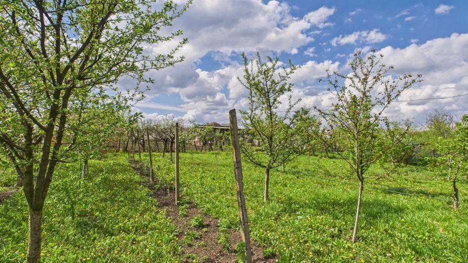 Casă individuală la Beregsău Mare, 2890 mp teren - Poză 29