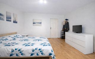 Apartament cu o camera | Take Ionescu - Poză 3