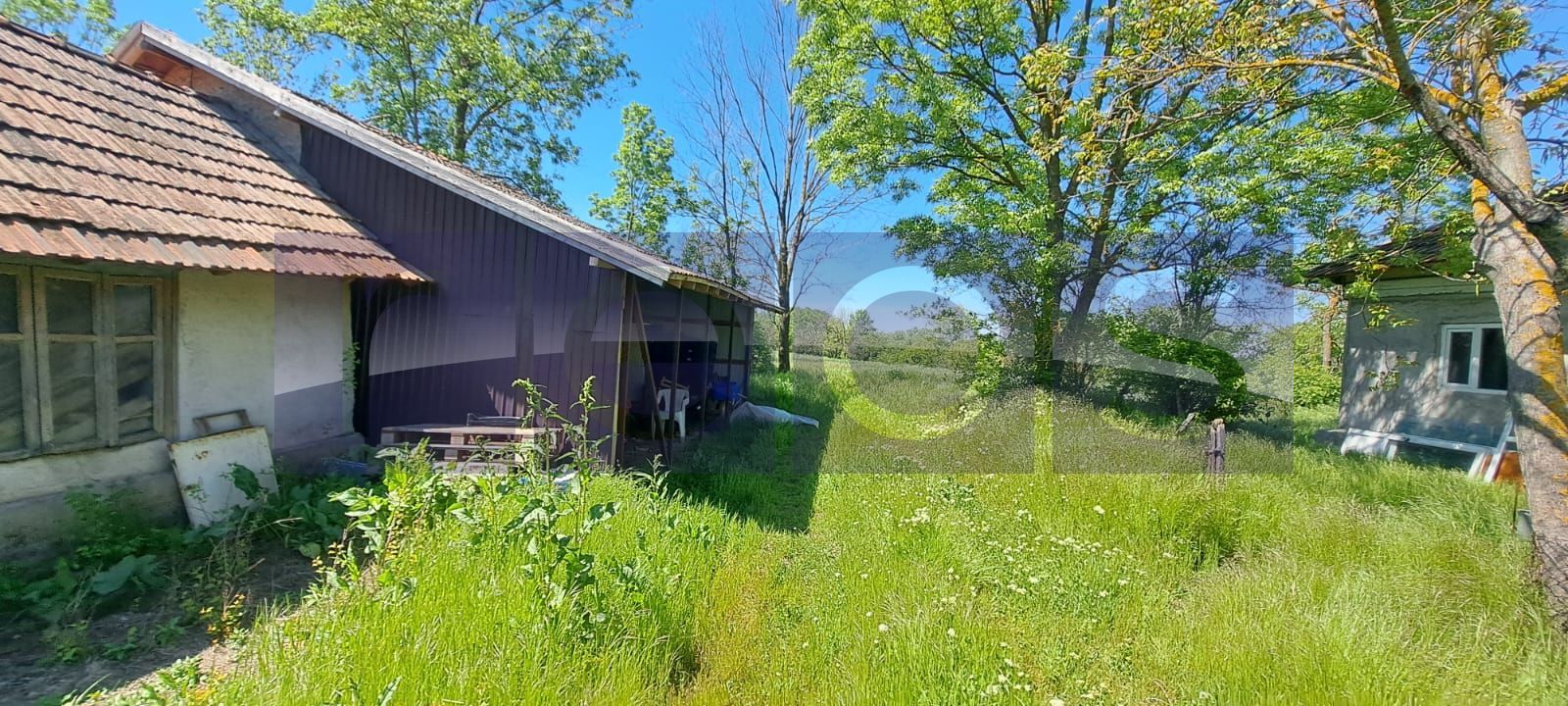 CASA TARANEASCA | TEREN 3000 MP | DESCHIDERE 52 M | COMUNA CIOLANESTI - Poză 6
