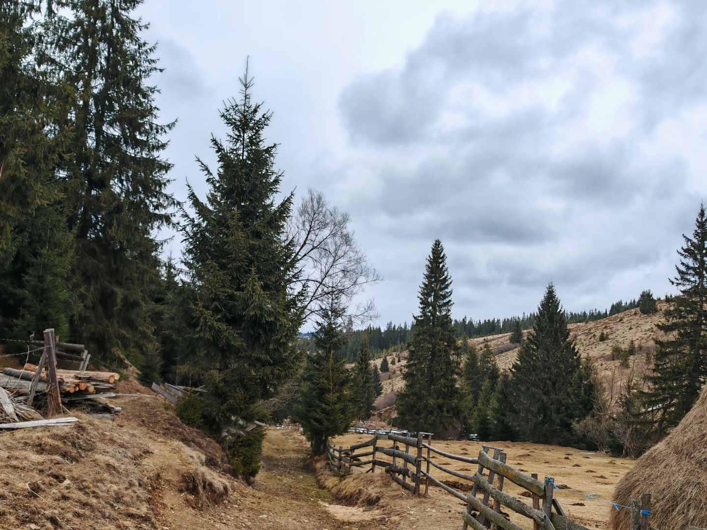 7.858 mp Teren Rar cu Pârâu și Izvoare, Beliș-Fântânele, Cluj - Poză 5