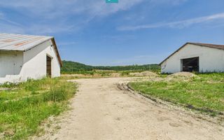 Hale 1800 mp fiecare – acces autostradă, Teiu, HD - Poză 17