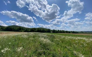 Teren de vanzare in Coas, zona linistita - Poză 2