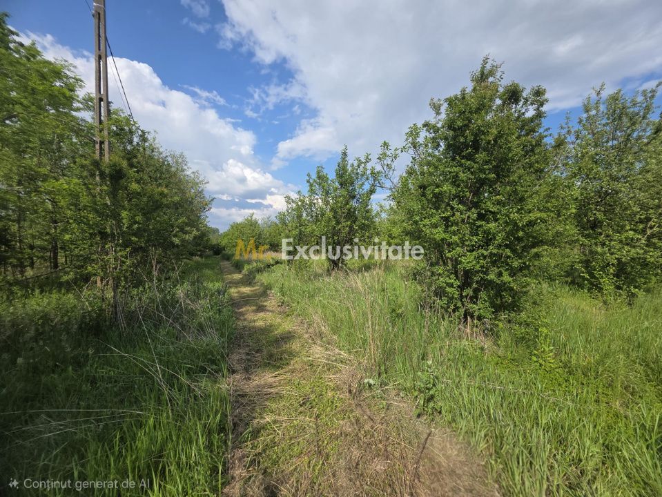 De Vânzare Casă Valea Vinului - Poză 14