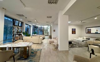 Spatiu comercial in zona Sagului - Poză 9