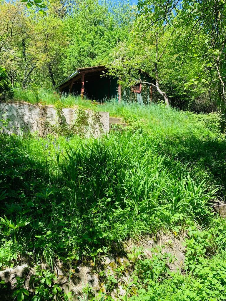 Casa boiereasca cu teren - Poză 4