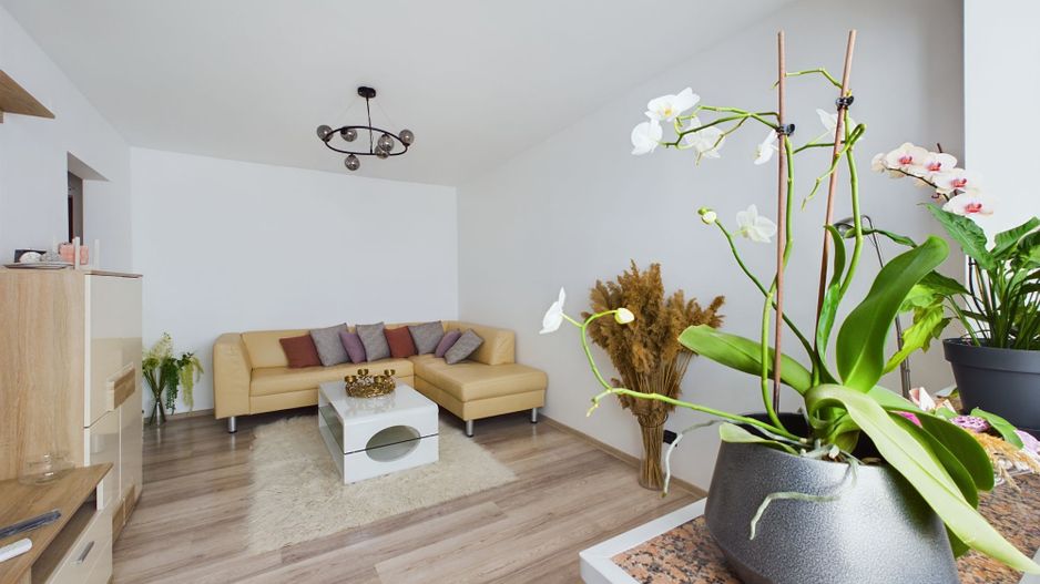 Apartament cu 3 camere în Vlaicu, Y-uri - Poză 4