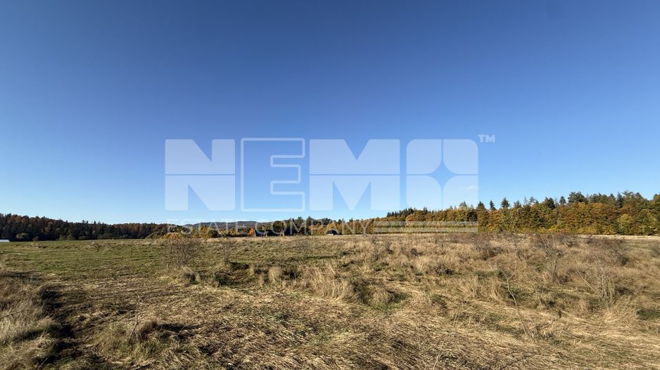 Teren intravilan | Horodnic de Sus – zona Tecioara | 2.900 mp - Poză 2