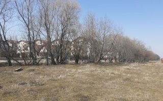Teren constructii, segmentul investitional, Livada - Poză 5