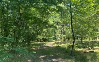 Padure Lapusel 48 ari