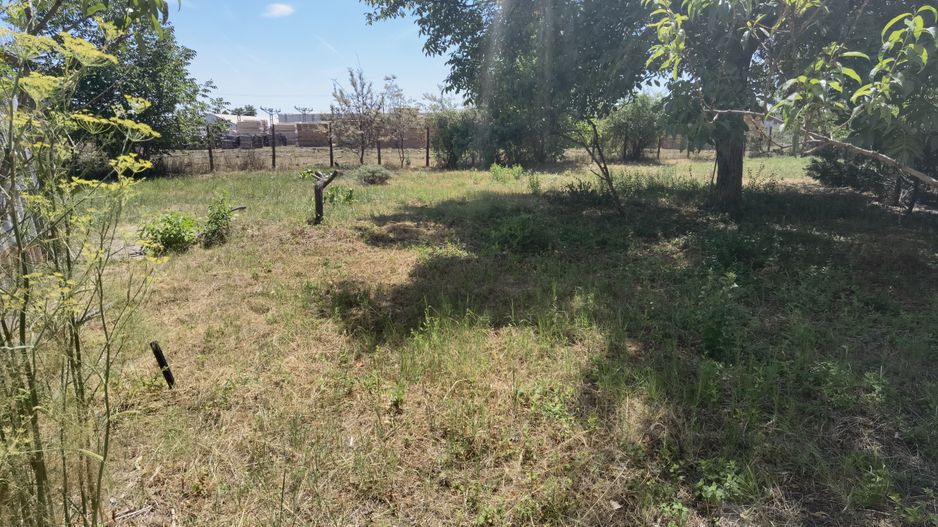 Spatiu industrial zona Sud-Arad - Poză 25