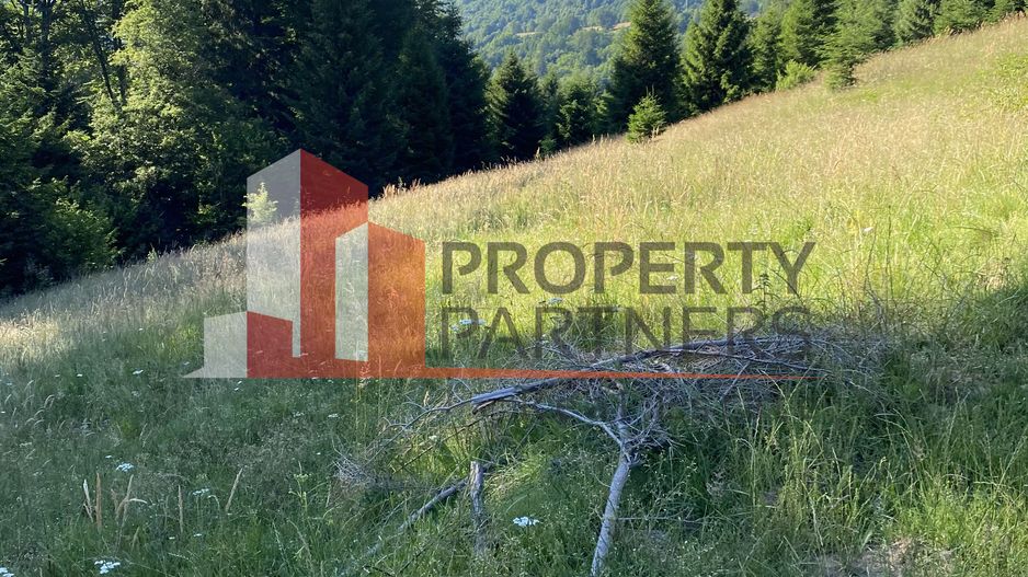 Teren 14400 mp la iesire din Rasnov inspre Pârâul Rece-Trei Brazi - Poză 9