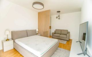 1 camera, modern, parcare, AC, Gheorgheni, Park Lake, Zona Iulius Mall - Poză 2