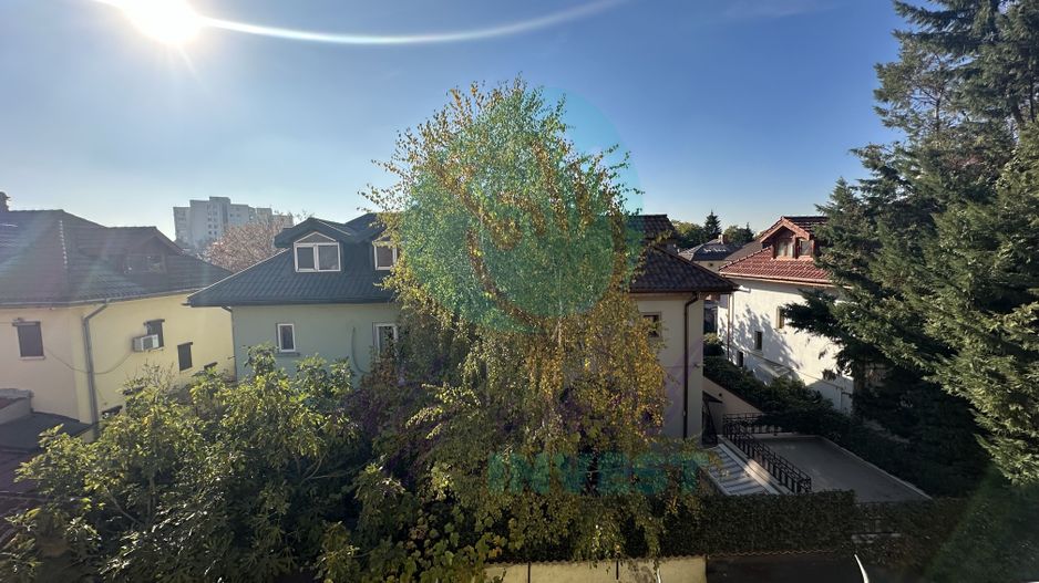 Vila boema in VATRA LUMINOASA - Poză 13
