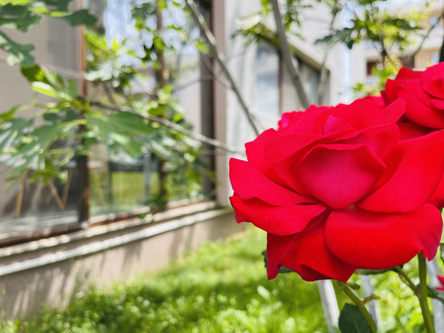 Oferta Rezervata - Apartament modern cu 3 camere & 2 bai | 72 mp | - Poză 10