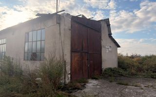 Fermă Sărand | Bihor | 25.659 mp teren intravilan - Poză 7