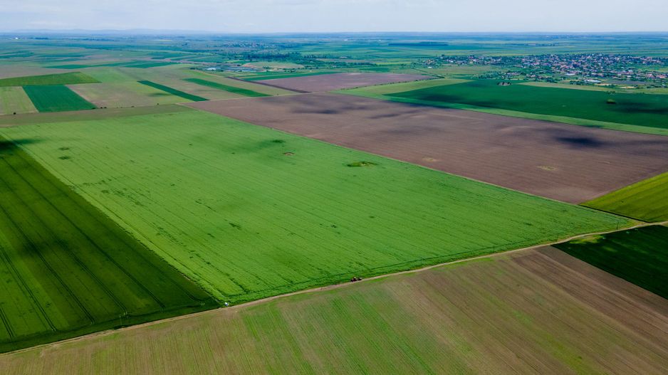 Teren de 5Ha în Satchinez. - Poză 2