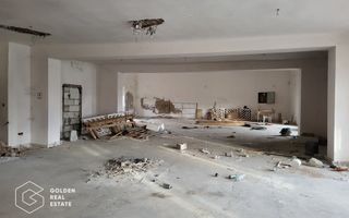 Proprietate tip conac, teren 4468 mp, oras Lipova - Poză 6