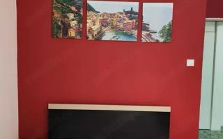 Apartament cu 2 camere, etaj 1, zona Lidl Nicolina, la o statie de Palas Mall - Poză 6