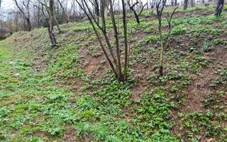 Teren intravilan1291 mp Schei Str Nisipului iesire la Drumul Poienii - Poză 9