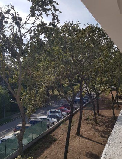 Pensiune deosebită de vânzare în Neptun – la doar 5 minute de plajă! - Poză 11