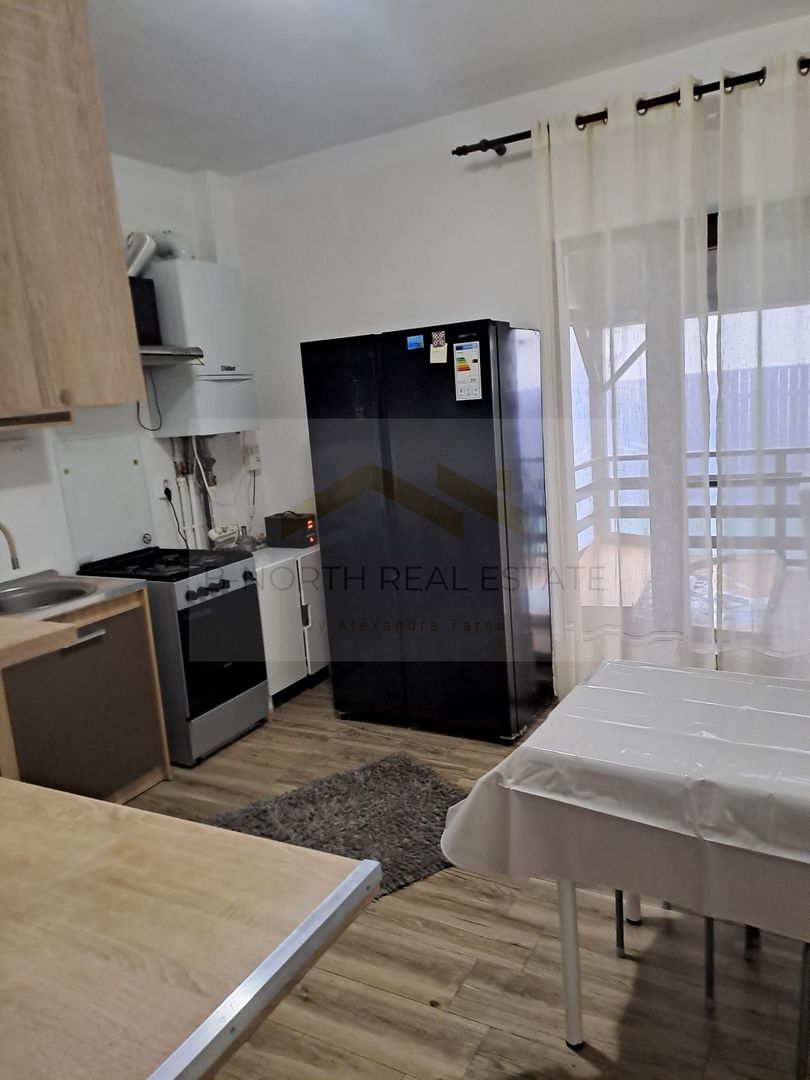 Inchiriere Vila  Drragomiresti Deal - Poză 7