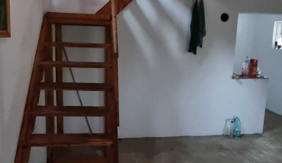 Casa cu 7,7 ari de teren in Bercu rosu, strada Afinelor - Poză 8