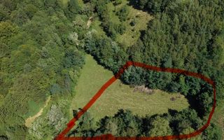 TEREN DE VÂNZARE – ZĂRNEȘTI 2200 Mp - Poză 4