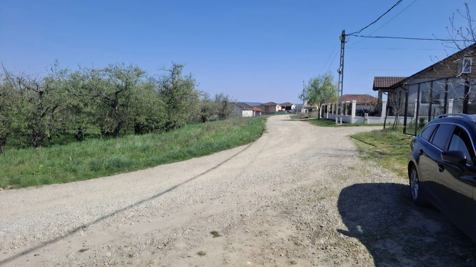 Teren toate utilitatile Paleu - Poză 1