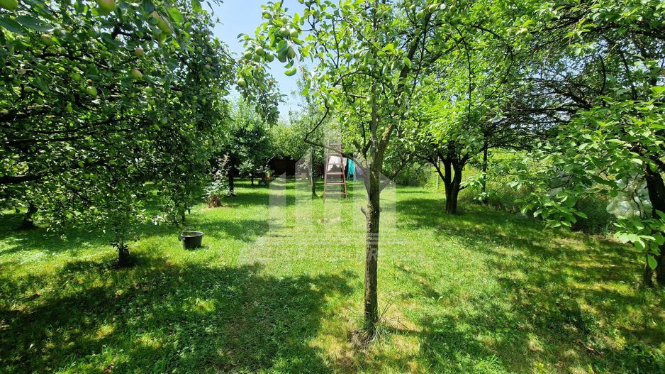 Teren intre Alba-Micesti, partea dreapta - Poză 2