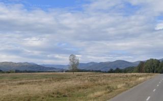 Teren intravilan 4,2 ha de vânzare| ideal investiție| POT 40%| Teișani - Poză 5